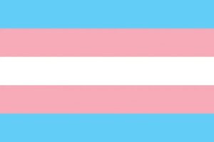 The Weaponization of the Overrepresentation of Autism in Transgender Individuals